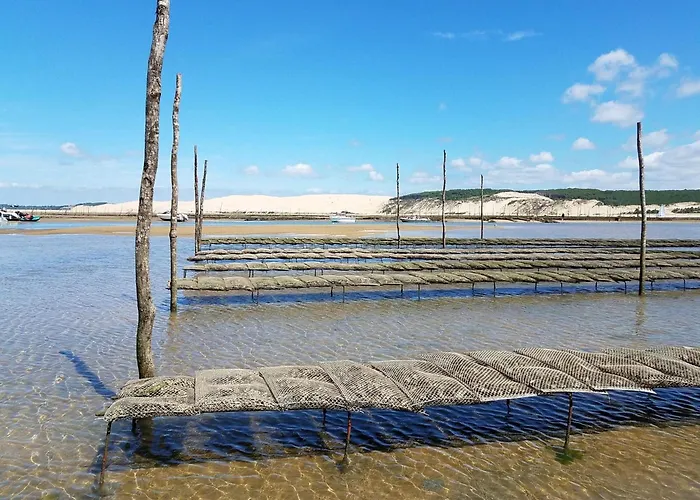 Lejlighed Confortable Proche Centre-ville, 4 Pers, Parking Inclus - Fr-1-474-209